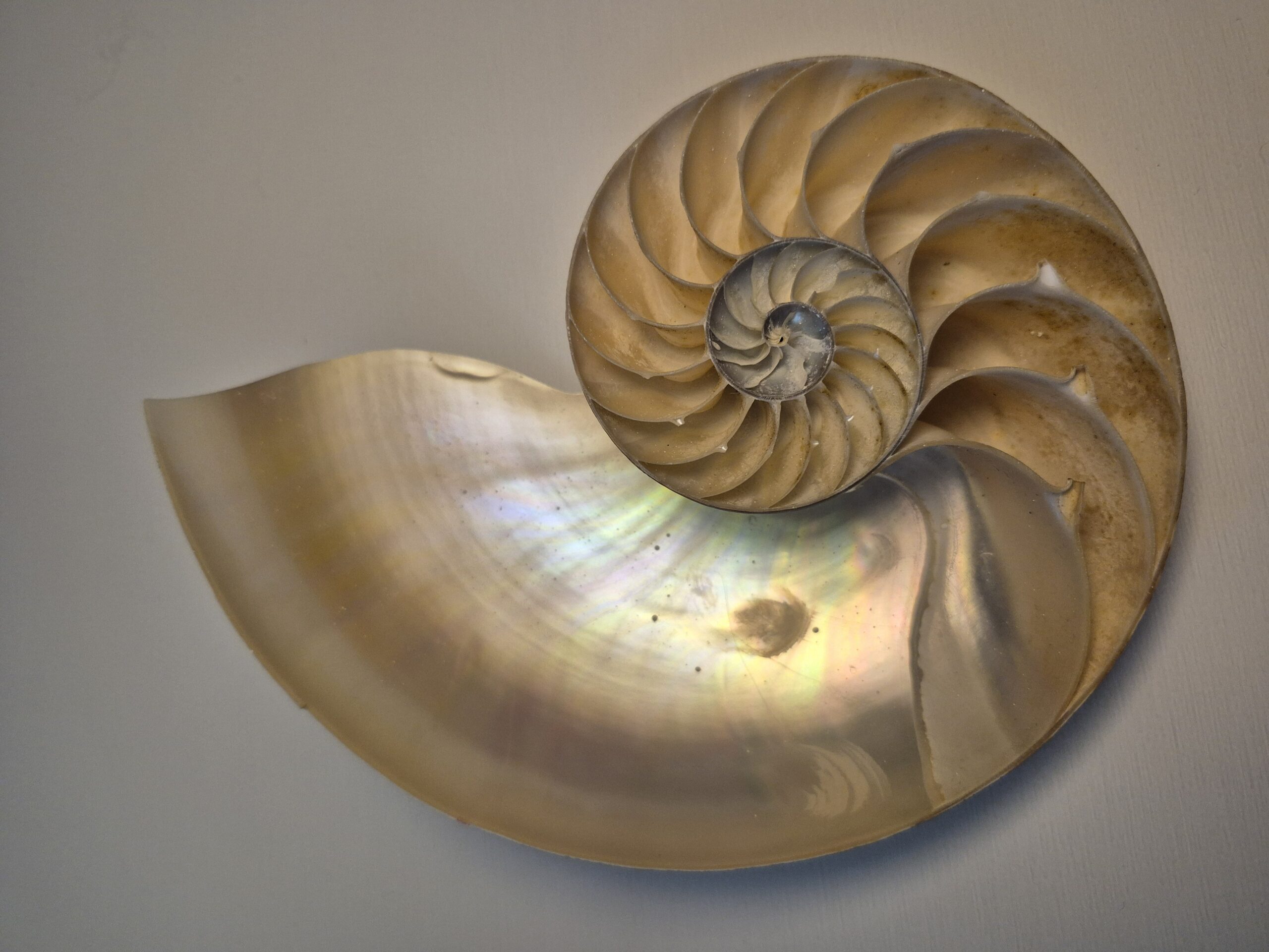 Regressietherapie sessie bij Inzicht in jezelf in Utrecht